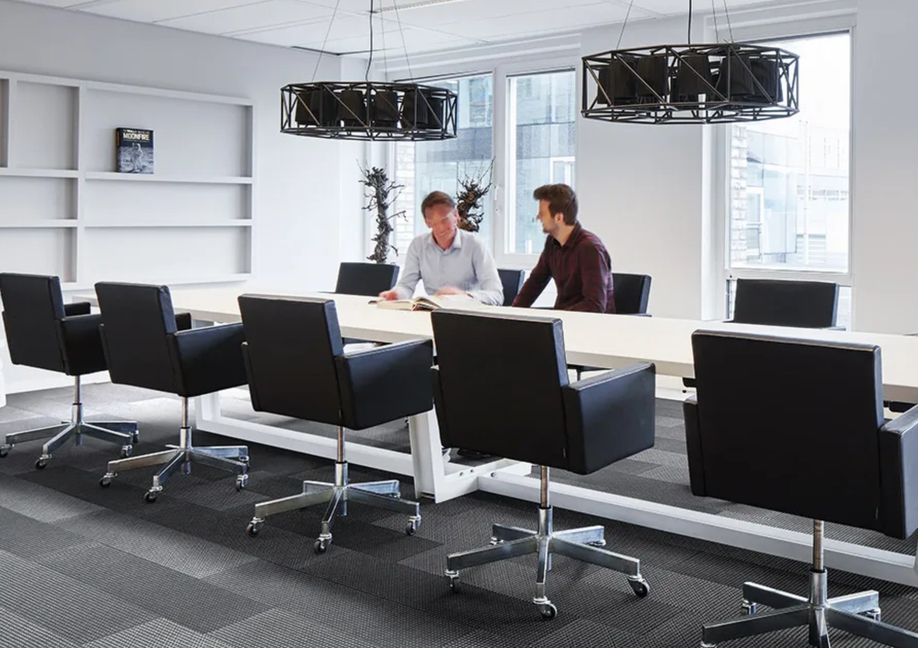 Dysheme profesionale