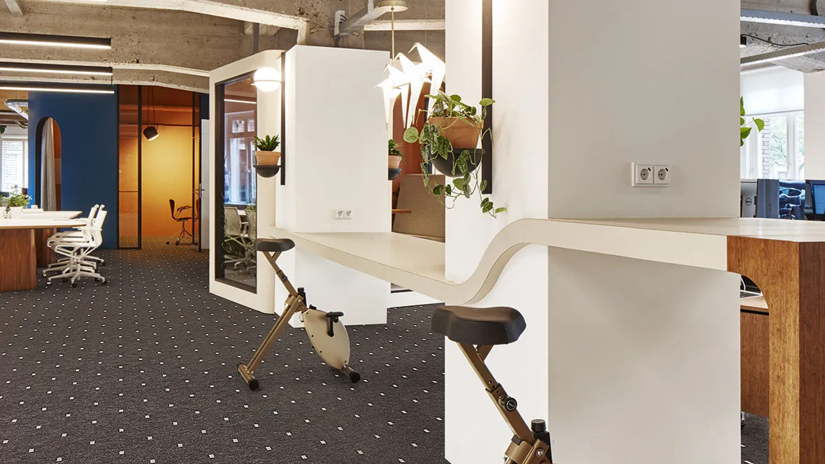 Dysheme moketi markant