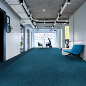 Moket per dyshem showtime graphic