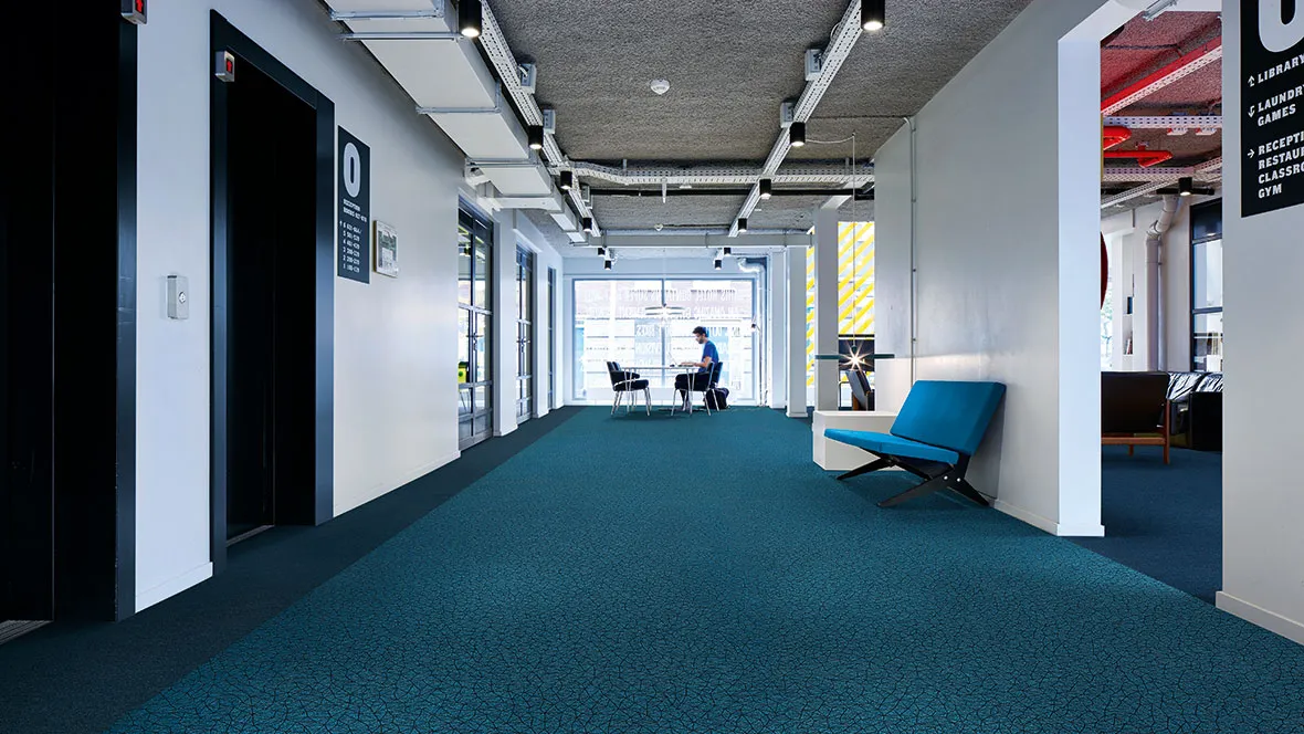 Moket per dyshem showtime graphic