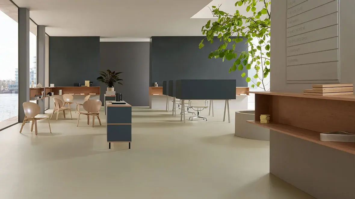 dysheme linoleumi marmoleum solid